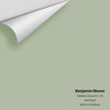 Digital color swatch of Benjamin Moore's Salisbury Green HC-139 Peel & Stick Sample available at Ricciardi BRothers in PA, DE, & NJ.