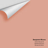 Digital color swatch of Benjamin Moore's Salmon Mousse 46 Peel & Stick Sample available at Ricciardi BRothers in PA, DE, & NJ.