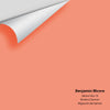 Digital color swatch of Benjamin Moore's Salmon Run 19 Peel & Stick Sample available at Ricciardi BRothers in PA, DE, & NJ.