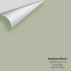 Digital color swatch of Benjamin Moore's Saybrook Sage HC-114 Peel & Stick Sample available at Ricciardi BRothers in PA, DE, & NJ.