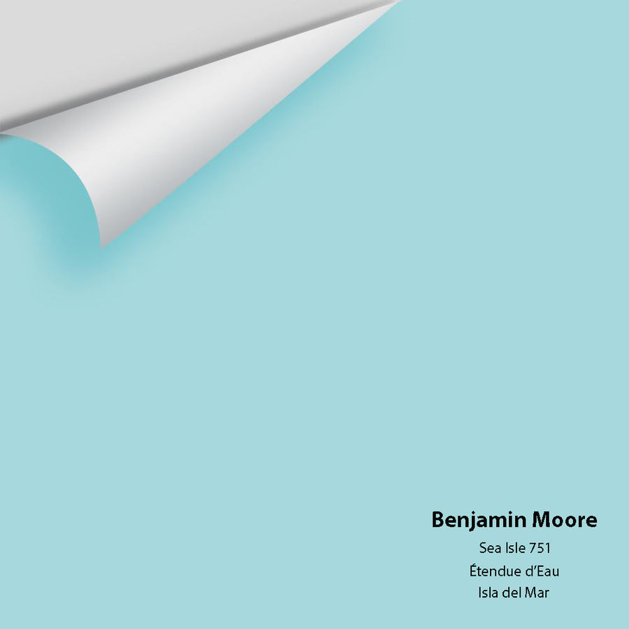 Digital color swatch of Benjamin Moore's Sea Isle 751 Peel & Stick Sample available at Ricciardi BRothers in PA, DE, & NJ.