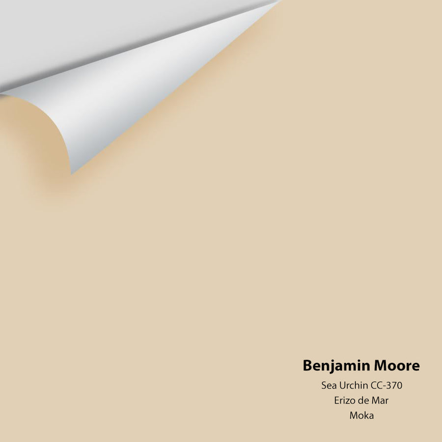 Digital color swatch of Benjamin Moore's Sea Urchin 1052 Peel & Stick Sample available at Ricciardi BRothers in PA, DE, & NJ.