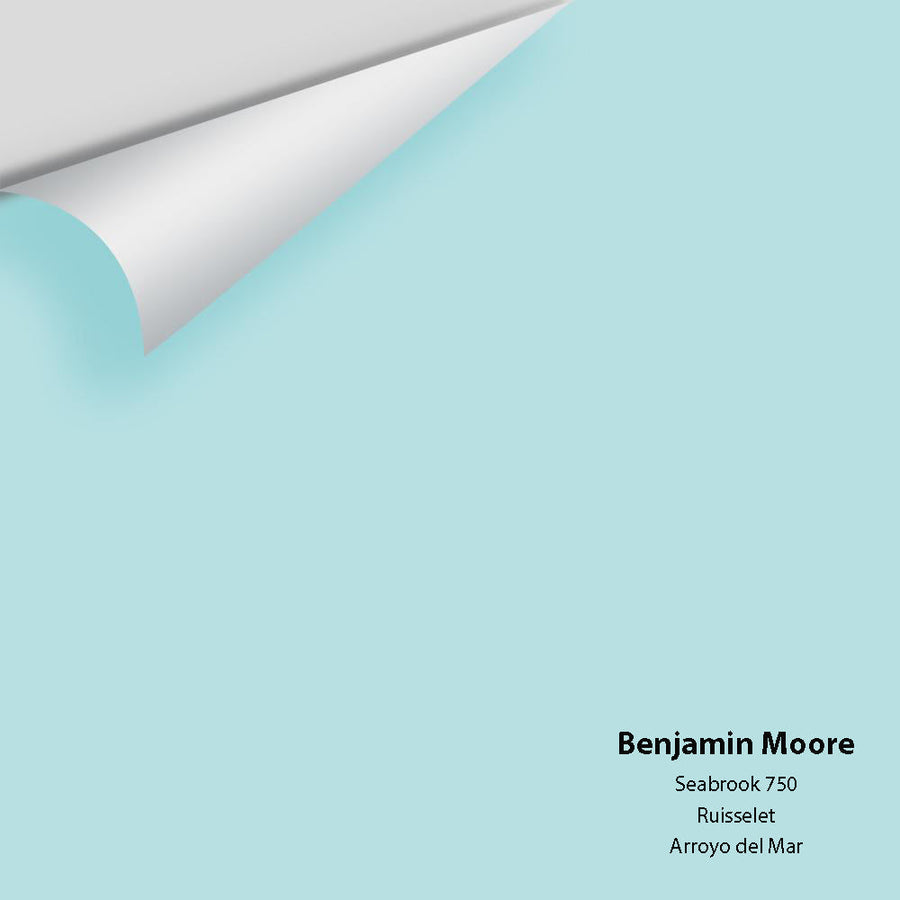 Digital color swatch of Benjamin Moore's Seabrook 750 Peel & Stick Sample available at Ricciardi BRothers in PA, DE, & NJ.
