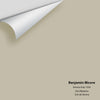 Digital color swatch of Benjamin Moore's Senora Gray 1530 Peel & Stick Sample available at Ricciardi BRothers in PA, DE, & NJ.