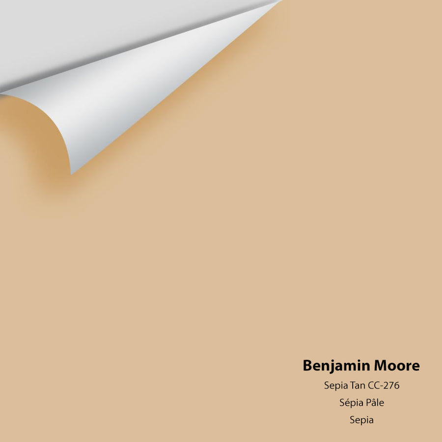 Digital color swatch of Benjamin Moore's Sepia Tan 1116 Peel & Stick Sample available at Ricciardi BRothers in PA, DE, & NJ.