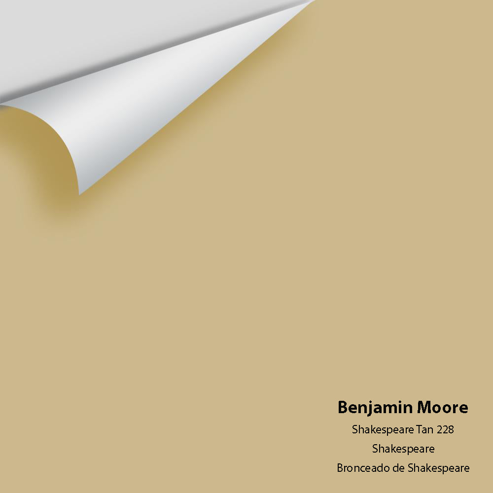 Digital color swatch of Benjamin Moore's Shakespeare Tan 228 Peel & Stick Sample available at Ricciardi BRothers in PA, DE, & NJ.