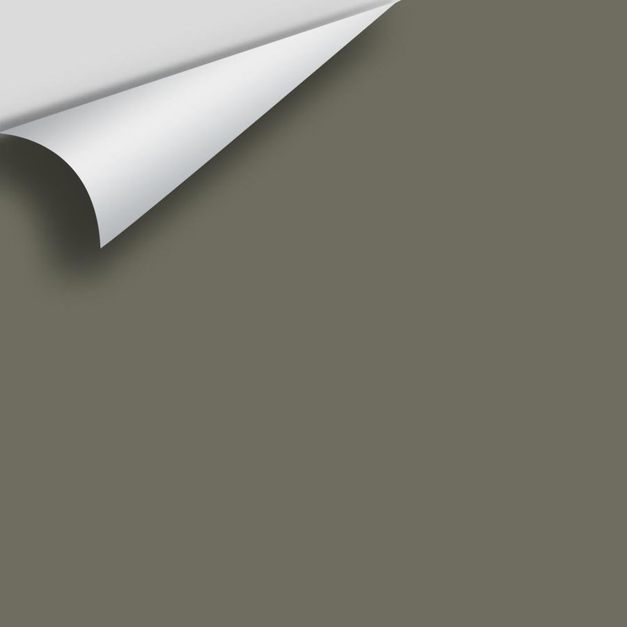 Digital color swatch of Benjamin Moore's Sharkskin 2139-30 Peel & Stick Sample available at Ricciardi BRothers in PA, DE, & NJ.