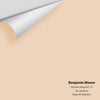 Digital color swatch of Benjamin Moore's Sheraton Beige HC-57 Peel & Stick Sample available at Ricciardi BRothers in PA, DE, & NJ.