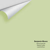 Digital color swatch of Benjamin Moore's Sienna Laurel 536 Peel & Stick Sample available at Ricciardi BRothers in PA, DE, & NJ.