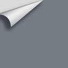 Digital color swatch of Benjamin Moore's Silver Streak 2119-40 Peel & Stick Sample available at Ricciardi BRothers in PA, DE, & NJ.