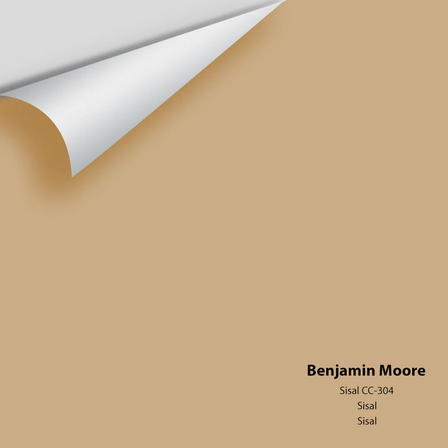 Digital color swatch of Benjamin Moore's Sisal CC-304 Peel & Stick Sample available at Ricciardi BRothers in PA, DE, & NJ.