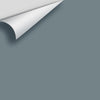 Digital color swatch of Benjamin Moore's Smokestack Gray 2131-40 Peel & Stick Sample available at Ricciardi BRothers in PA, DE, & NJ.