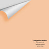 Digital color swatch of Benjamin Moore's Soft Salmon 96 Peel & Stick Sample available at Ricciardi BRothers in PA, DE, & NJ.