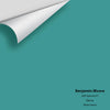 Digital color swatch of Benjamin Moore's Soft Spruce 671 Peel & Stick Sample available at Ricciardi BRothers in PA, DE, & NJ.