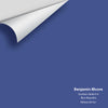 Digital color swatch of Benjamin Moore's Southern Belle 819 Peel & Stick Sample available at Ricciardi BRothers in PA, DE, & NJ.