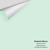 Digital color swatch of Benjamin Moore's Spearmint Ice 596 Peel & Stick Sample available at Ricciardi BRothers in PA, DE, & NJ.