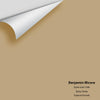 Digital color swatch of Benjamin Moore's Spice Gold 1040 Peel & Stick Sample available at Ricciardi BRothers in PA, DE, & NJ.