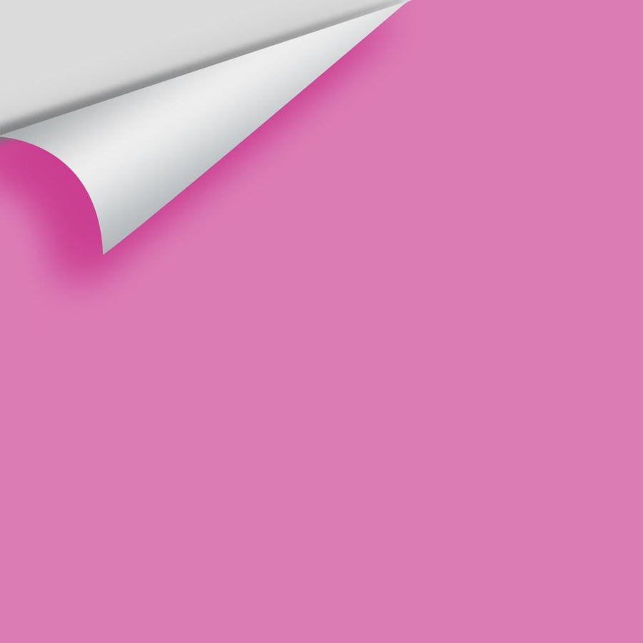 Digital color swatch of Benjamin Moore's Spring Azalea 2077-40 Peel & Stick Sample available at Ricciardi BRothers in PA, DE, & NJ.