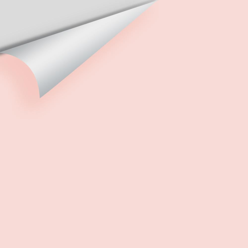 Digital color swatch of Benjamin Moore's Spring Pink 2090-70 Peel & Stick Sample available at Ricciardi BRothers in PA, DE, & NJ.