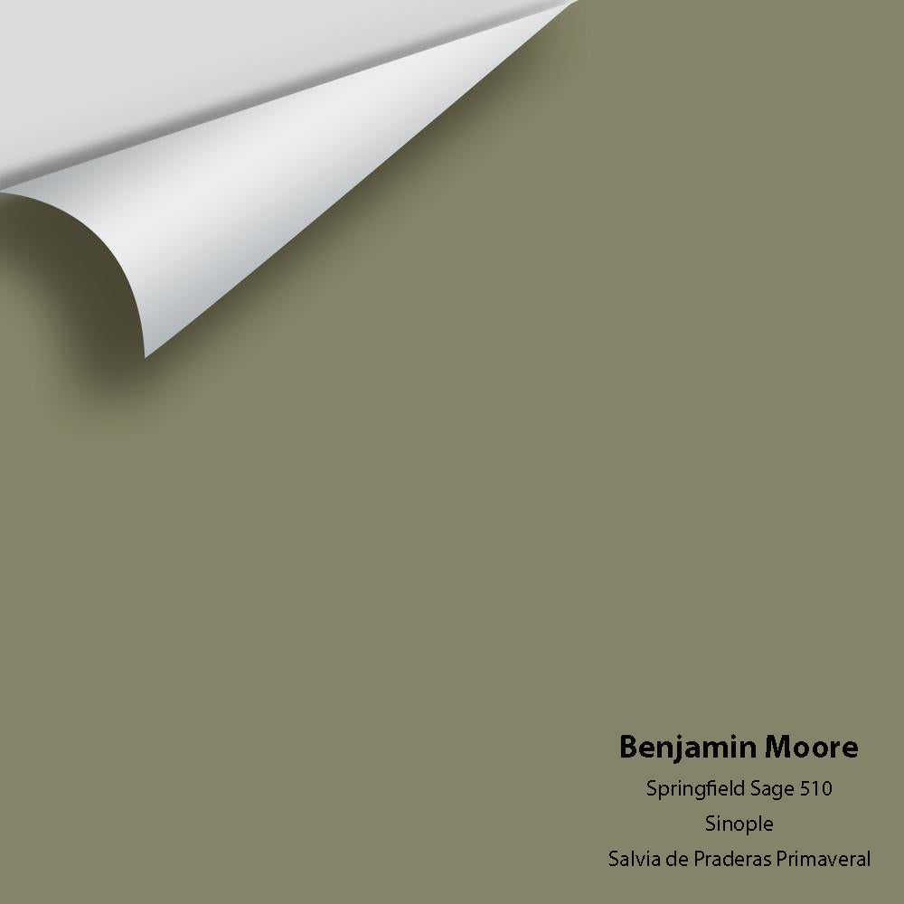 Digital color swatch of Benjamin Moore's Springfield Sage 510 Peel & Stick Sample available at Ricciardi BRothers in PA, DE, & NJ.