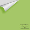 Digital color swatch of Benjamin Moore's Springhill Green 412 Peel & Stick Sample available at Ricciardi BRothers in PA, DE, & NJ.