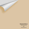 Digital color swatch of Benjamin Moore's Squire Hill Buff 1068 Peel & Stick Sample available at Ricciardi BRothers in PA, DE, & NJ.