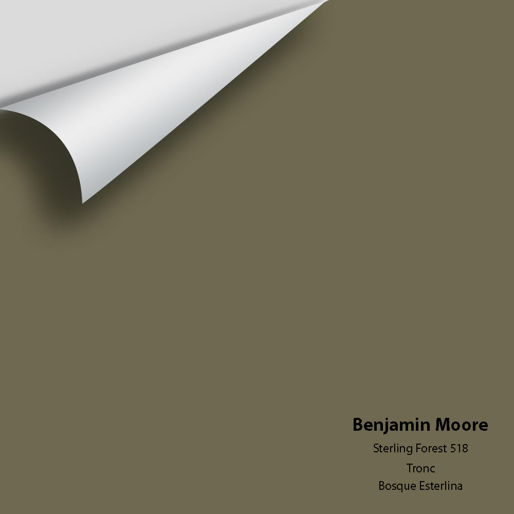 Digital color swatch of Benjamin Moore's Sterling Forest 518 Peel & Stick Sample available at Ricciardi BRothers in PA, DE, & NJ.