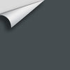 Digital color swatch of Benjamin Moore's Stonecutter 2135-20 Peel & Stick Sample available at Ricciardi BRothers in PA, DE, & NJ.