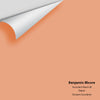 Digital color swatch of Benjamin Moore's Succulent Peach 68 Peel & Stick Sample available at Ricciardi BRothers in PA, DE, & NJ.