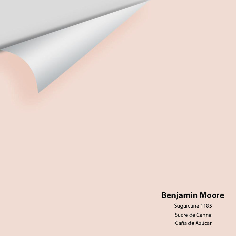 Digital color swatch of Benjamin Moore's Sugarcane 1185 Peel & Stick Sample available at Ricciardi BRothers in PA, DE, & NJ.