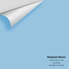 Digital color swatch of Benjamin Moore's Summer Day CC-786 Peel & Stick Sample available at Ricciardi BRothers in PA, DE, & NJ.