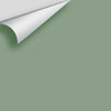 Digital color swatch of Benjamin Moore's Summer's Day CSP-780 Peel & Stick Sample available at Ricciardi BRothers in PA, DE, & NJ.