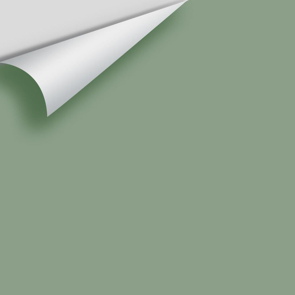 Digital color swatch of Benjamin Moore's Summer's Day CSP-780 Peel & Stick Sample available at Ricciardi BRothers in PA, DE, & NJ.