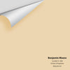 Digital color swatch of Benjamin Moore's Sundial CC-400 Peel & Stick Sample available at Ricciardi BRothers in PA, DE, & NJ.