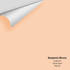 Digital color swatch of Benjamin Moore's Sunfish 95 Peel & Stick Sample available at Ricciardi BRothers in PA, DE, & NJ.