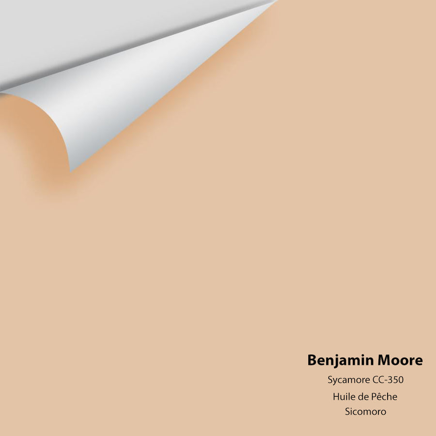 Digital color swatch of Benjamin Moore's Sycamore CC-350 Peel & Stick Sample available at Ricciardi BRothers in PA, DE, & NJ.