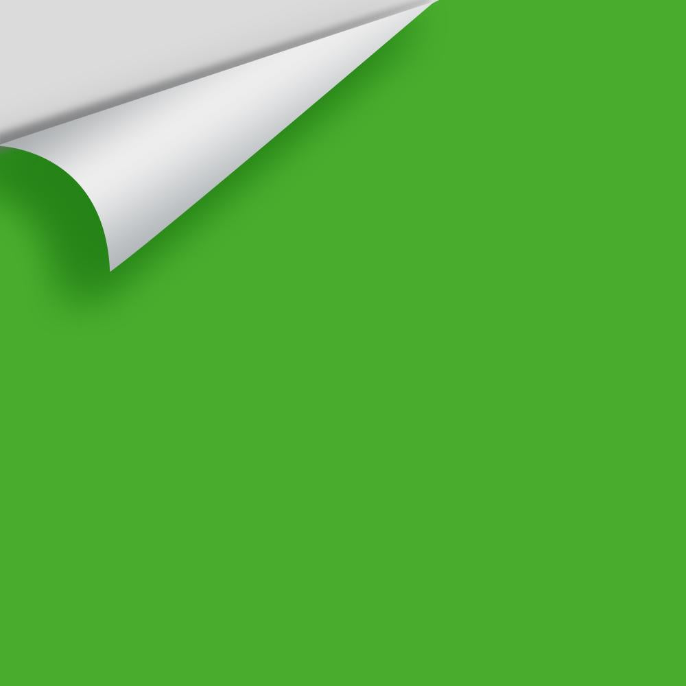 Digital color swatch of Benjamin Moore's Tropical Seaweed Green 2030-20 Peel & Stick Sample available at Ricciardi BRothers in PA, DE, & NJ.