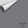 Digital color swatch of Benjamin Moore's Tempest AF-590 Peel & Stick Sample available at Ricciardi BRothers in PA, DE, & NJ.