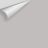 Digital color swatch of Benjamin Moore's Through the Looking Glass CSP-495 Peel & Stick Sample available at Ricciardi BRothers in PA, DE, & NJ.