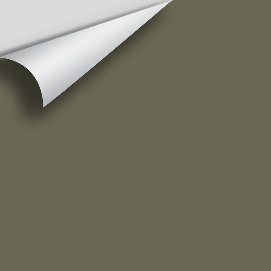 Digital color swatch of Benjamin Moore's Trailing Vines 1505 Peel & Stick Sample available at Ricciardi BRothers in PA, DE, & NJ.