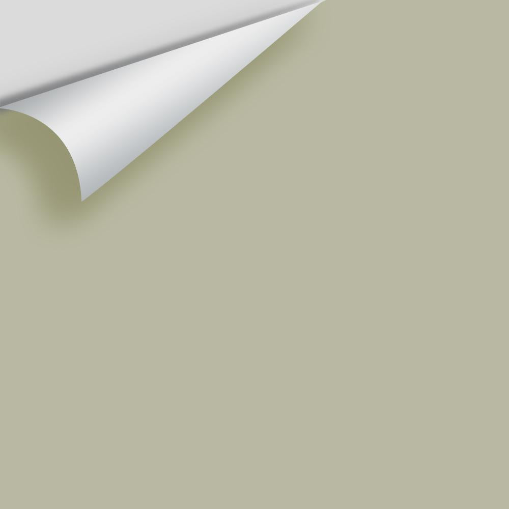 Digital color swatch of Benjamin Moore's Tree Moss 508 Peel & Stick Sample available at Ricciardi BRothers in PA, DE, & NJ.