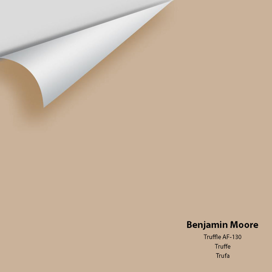 Digital color swatch of Benjamin Moore's Truffle AF-130 Peel & Stick Sample available at Ricciardi BRothers in PA, DE, & NJ.