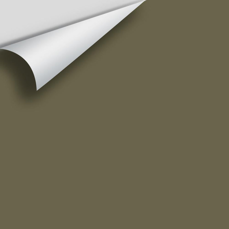 Digital color swatch of Benjamin Moore's Turtle Green 2142-20 Peel & Stick Sample available at Ricciardi BRothers in PA, DE, & NJ.