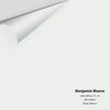 Digital color swatch of Benjamin Moore's Ultra White CC-10 Peel & Stick Sample available at Ricciardi BRothers in PA, DE, & NJ.