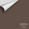 Digital color swatch of Benjamin Moore's Van Buren Brown HC-70 Peel & Stick Sample available at Ricciardi BRothers in PA, DE, & NJ.