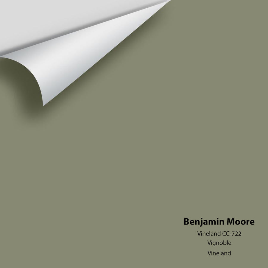 Digital color swatch of Benjamin Moore's Vineland CC-722 Peel & Stick Sample available at Ricciardi BRothers in PA, DE, & NJ.