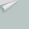 Digital color swatch of Benjamin Moore's Wales Gray 1585 Peel & Stick Sample available at Ricciardi BRothers in PA, DE, & NJ.
