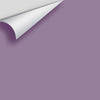 Digital color swatch of Benjamin Moore's Wild Orchid 2072-40 Peel & Stick Sample available at Ricciardi BRothers in PA, DE, & NJ.