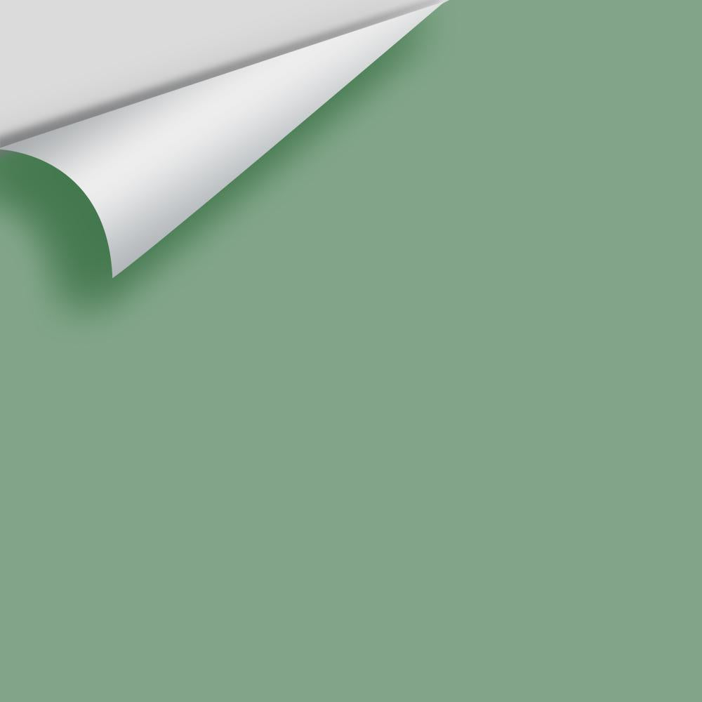 Digital color swatch of Benjamin Moore's Winchester Sage 628 Peel & Stick Sample available at Ricciardi BRothers in PA, DE, & NJ.