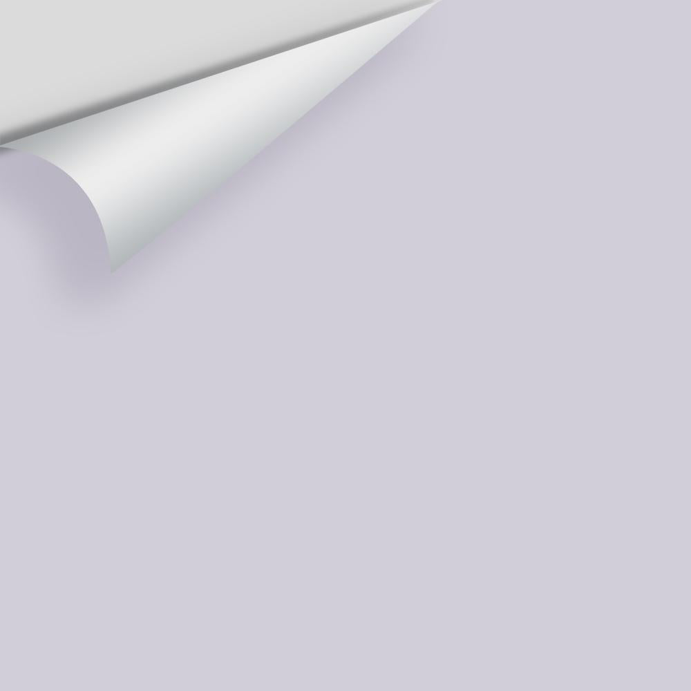 Digital color swatch of Benjamin Moore's Winter Gray 2117-60 Peel & Stick Sample available at Ricciardi BRothers in PA, DE, & NJ.